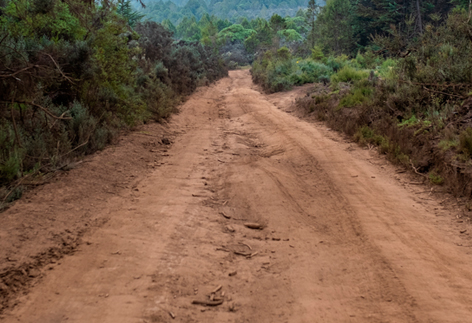 Construcción de vías de tráfico